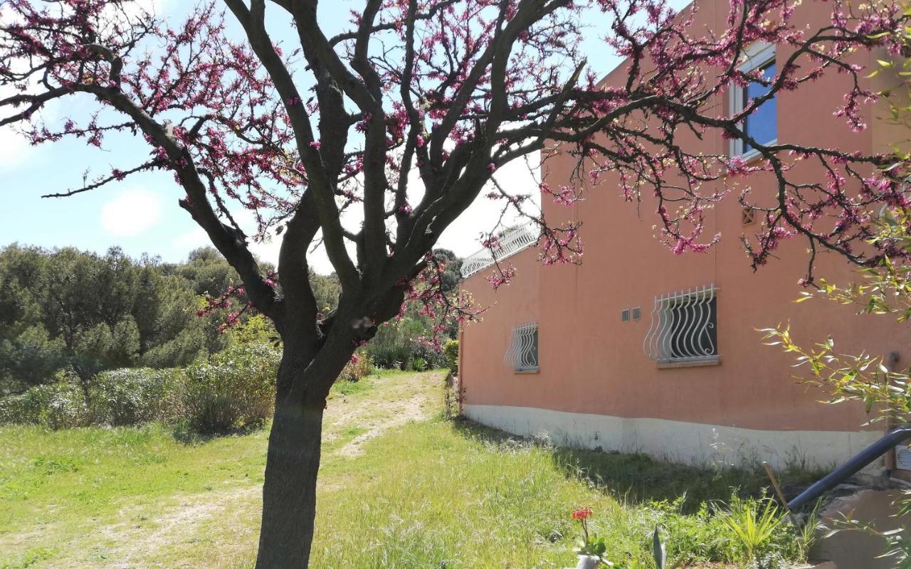 Studio 28M2 Climatise,Wifi, Proche Des Calanques,Plages La Ciotat Exteriör bild